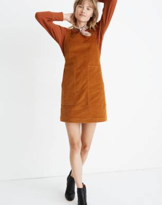 Cute Velveteen Dress